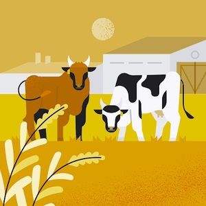 Meet your Posher, Logan